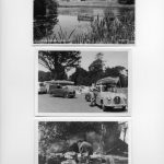 Camping Trip to Ashburnham Place Sussex 1964