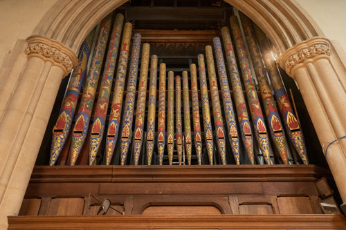 Organ